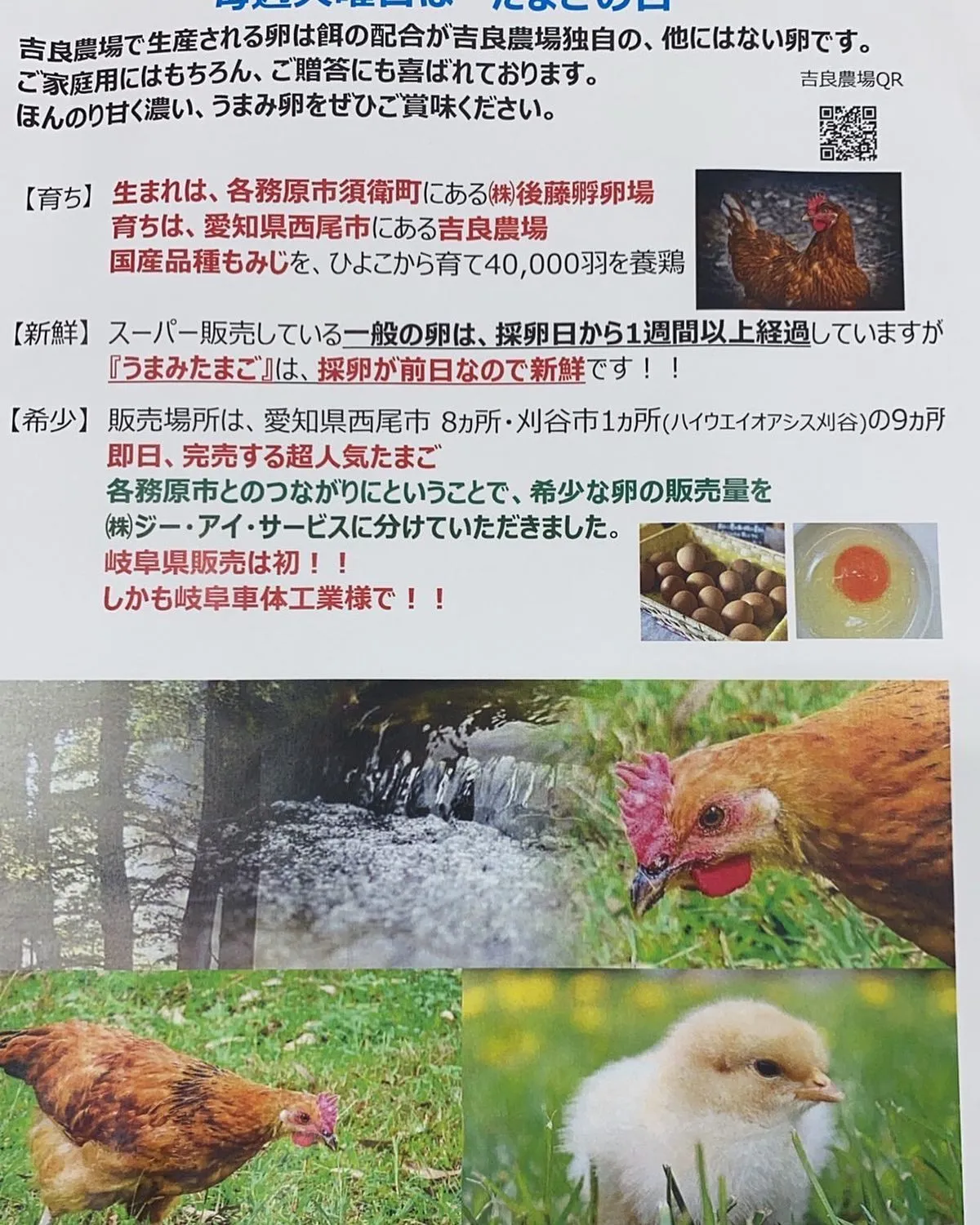 本日も雨の中沢山のご来店ありがとうございました。